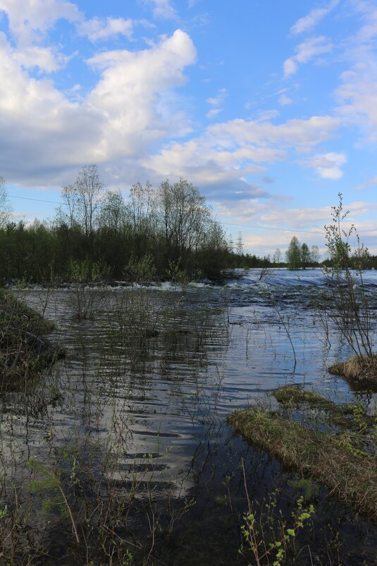 Летний разлив - Ольга Летний разлив - Ольга