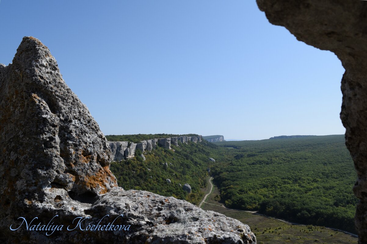 Природа Крыма - Amazing Cosmea