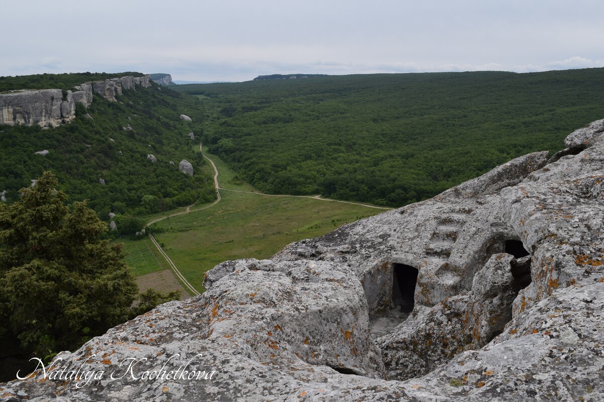 Природа Крыма - Amazing Cosmea