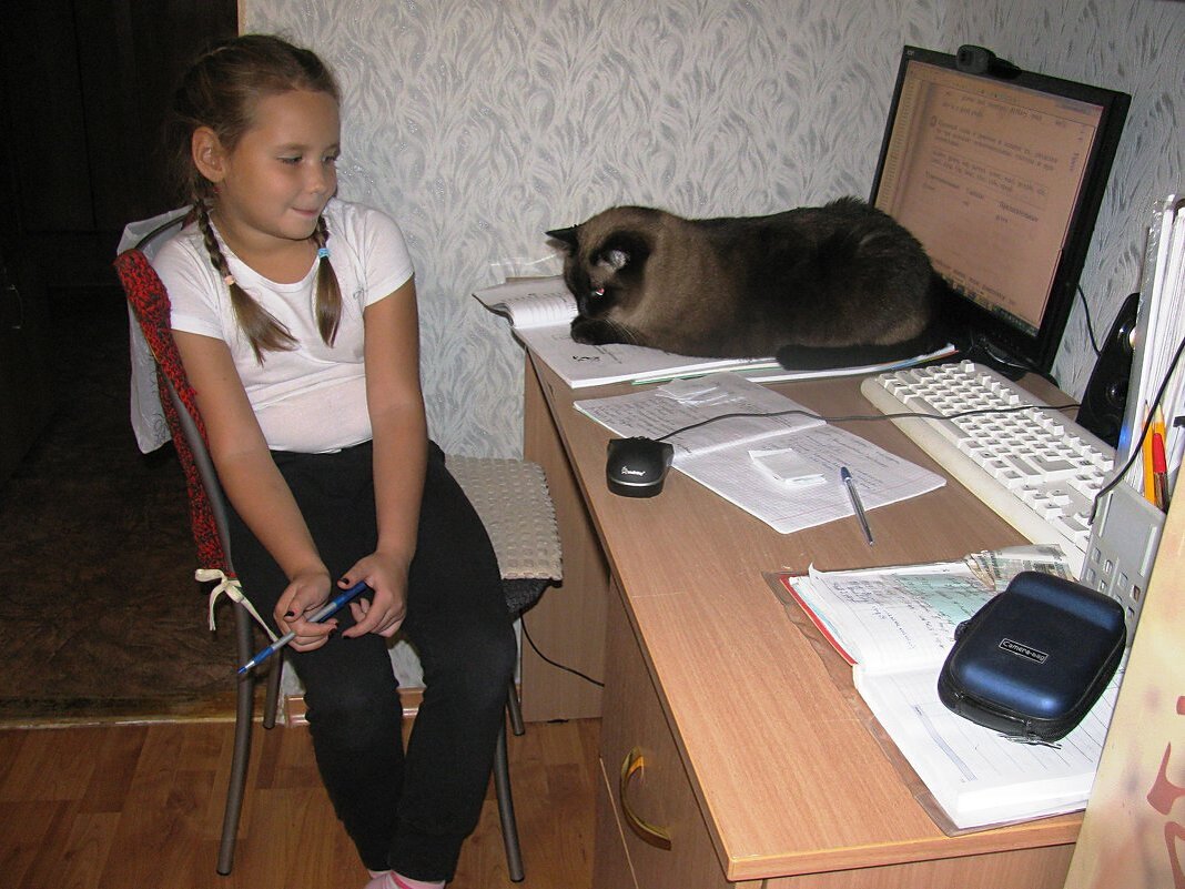 Мой кот Тима - Наталья Петровна Власова Мой кот Тима - Наталья Петровна Власова