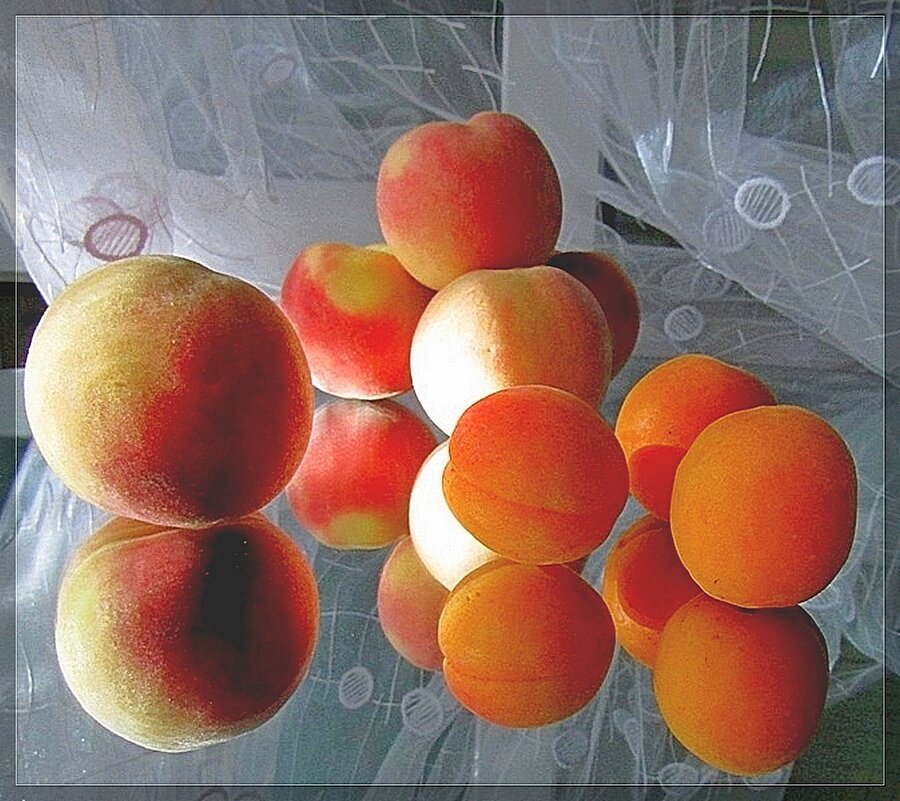 ФРУКТЫ - ivana 