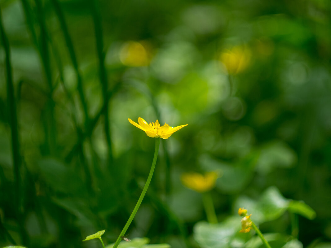 ___ - Yuriy V ___ - Yuriy V