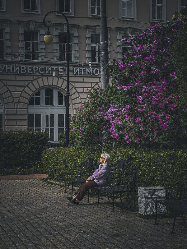 Прелести одиночества - Татьяна Аникина