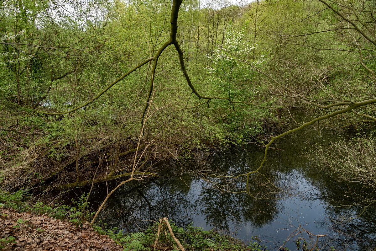 Вниз... - Николай Гирш Вниз... - Николай Гирш