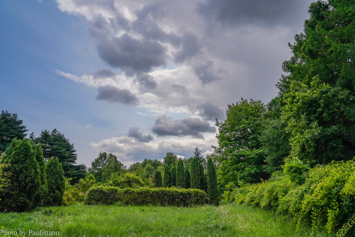 Перед бурей... - Владимир Жданов Перед бурей... - Владимир Жданов