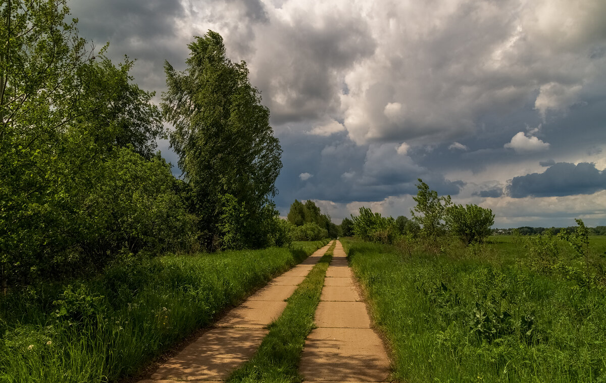 Первый летний день 2 - Андрей Дворников Первый летний день 2 - Андрей Дворников