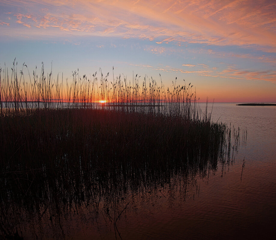 *** - Сергей Григорьев