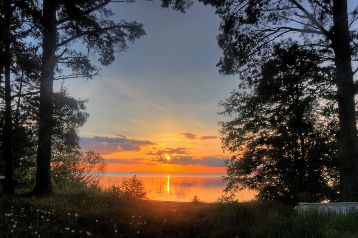 *** - Сергей Григорьев