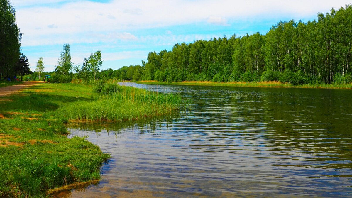 Наше лето. - Милешкин Владимир Алексеевич 