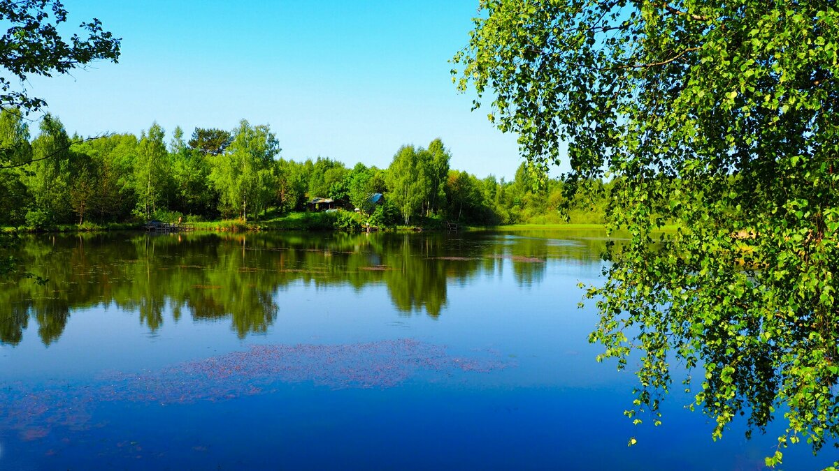 Благодать - Милешкин Владимир Алексеевич 