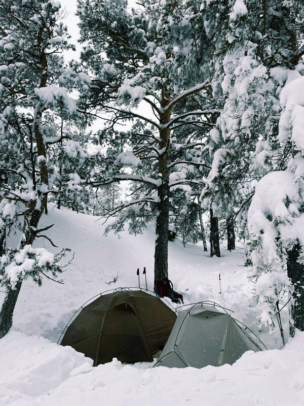 Зимний поход - Георгиевич Зимний поход - Георгиевич