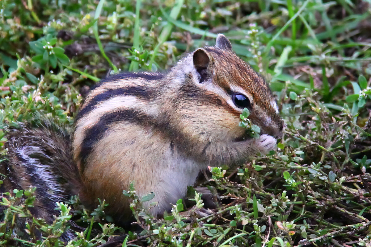 * - Марина Юдинских