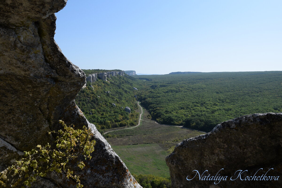Природа Крыма - Amazing Cosmea