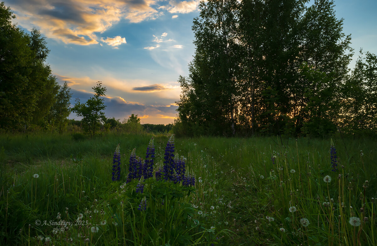Пейзаж на закате - Александр Синдерёв