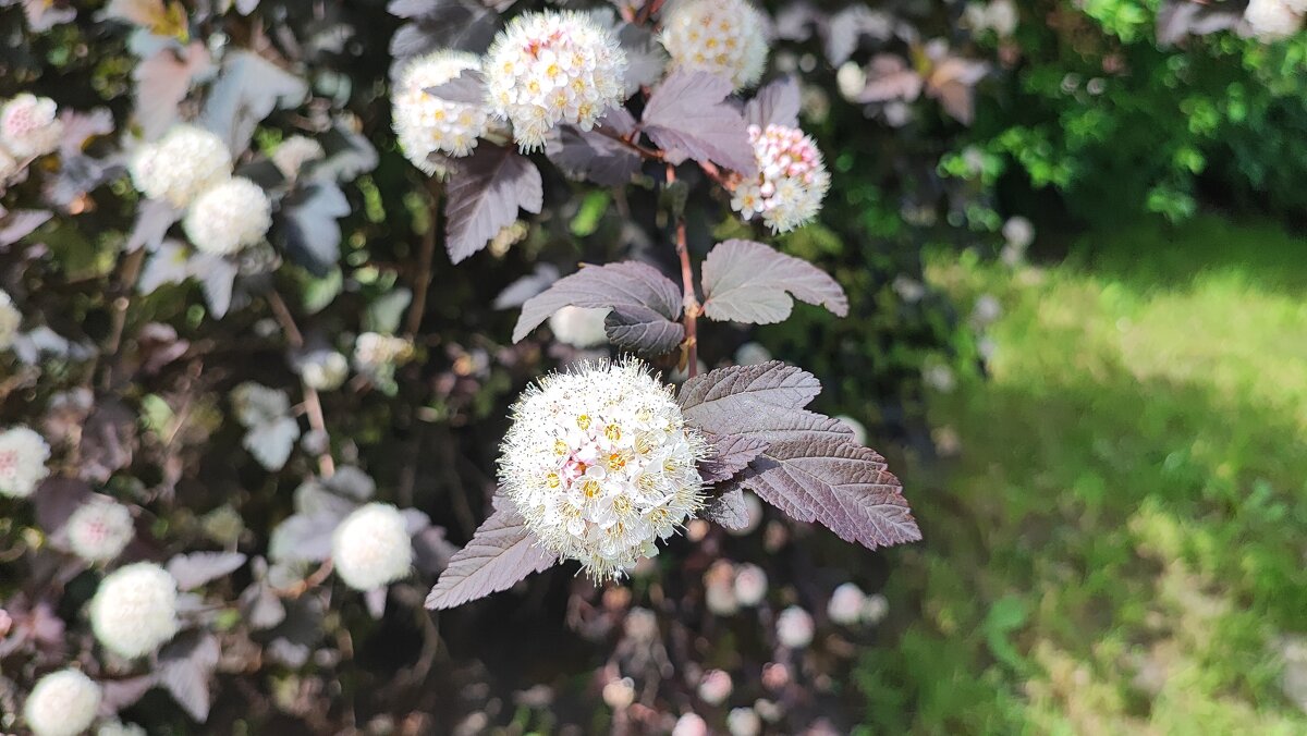 ,,, - Сергей Тимоновский