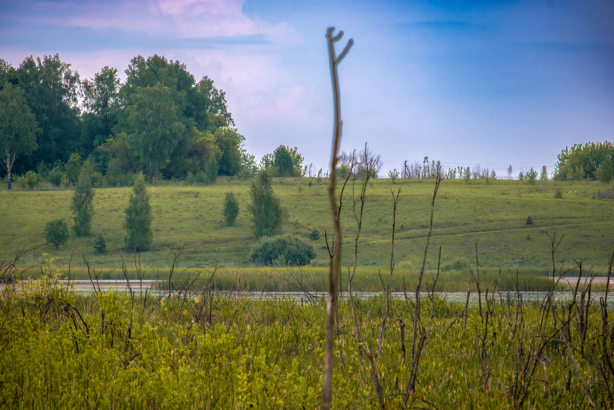 Природа - Sergei Vikulov Природа - Sergei Vikulov