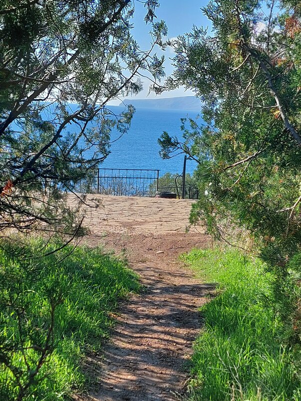 дорожка к морю - ИРЭН@ . дорожка к морю - ИРЭН@ .