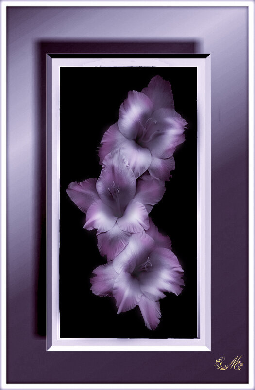 панно Гладиолусы - Е.М. ***