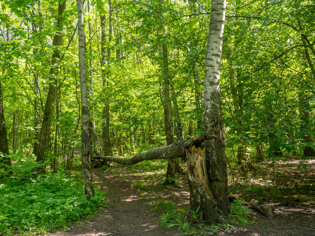 ___ - Yuriy V ___ - Yuriy V