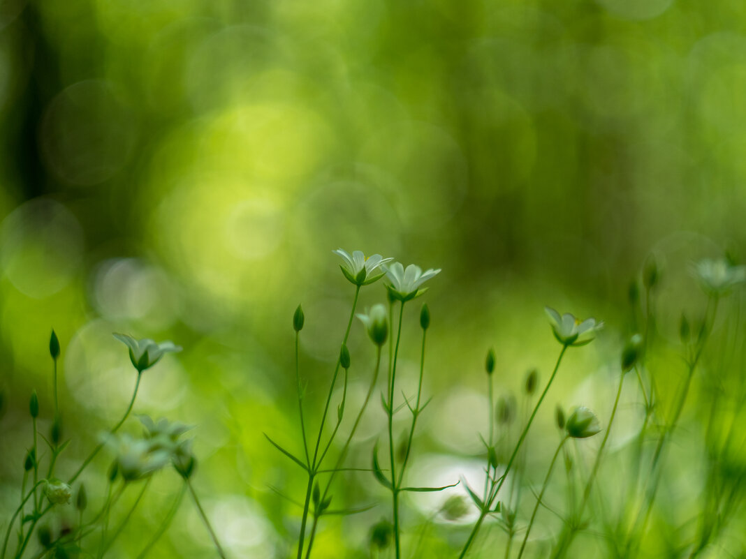 ___ - Yuriy V ___ - Yuriy V