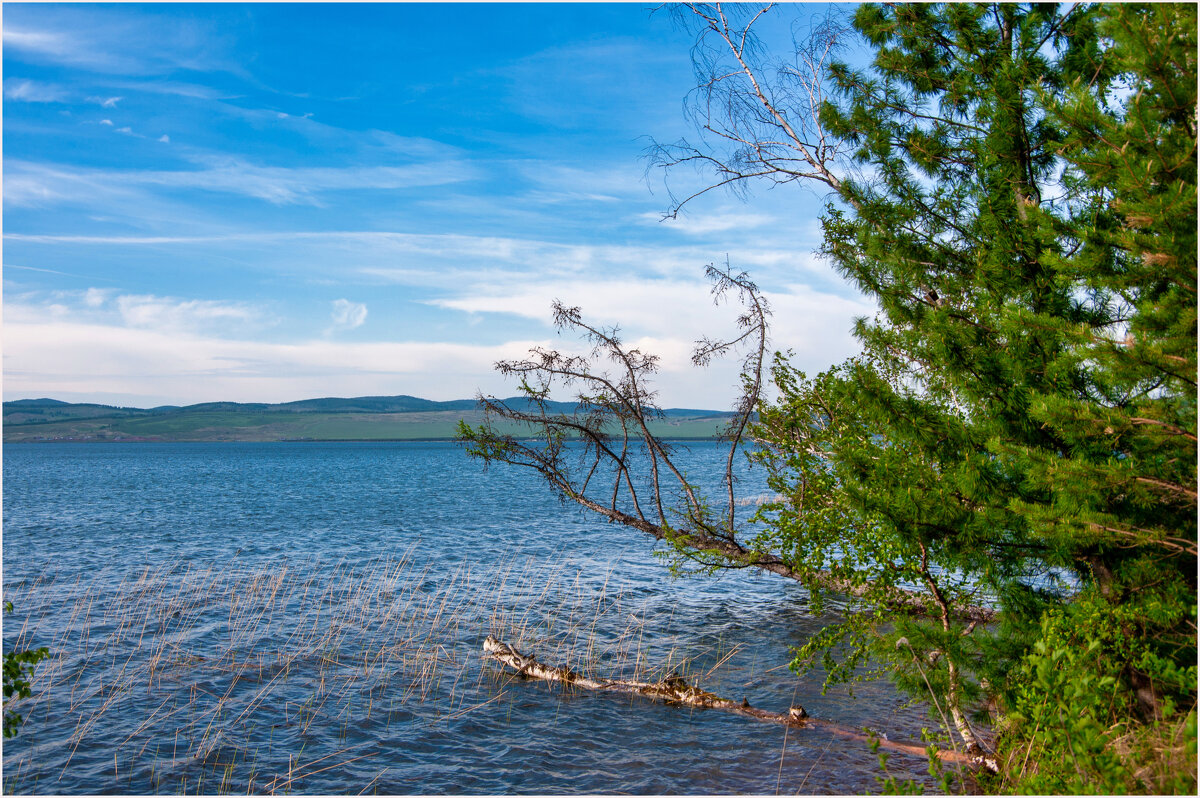 *** - Алексей Мезенцев