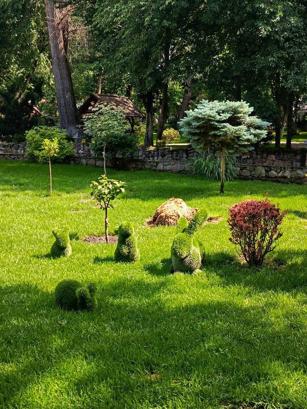 Парк Лога - Татьяна Пальчикова