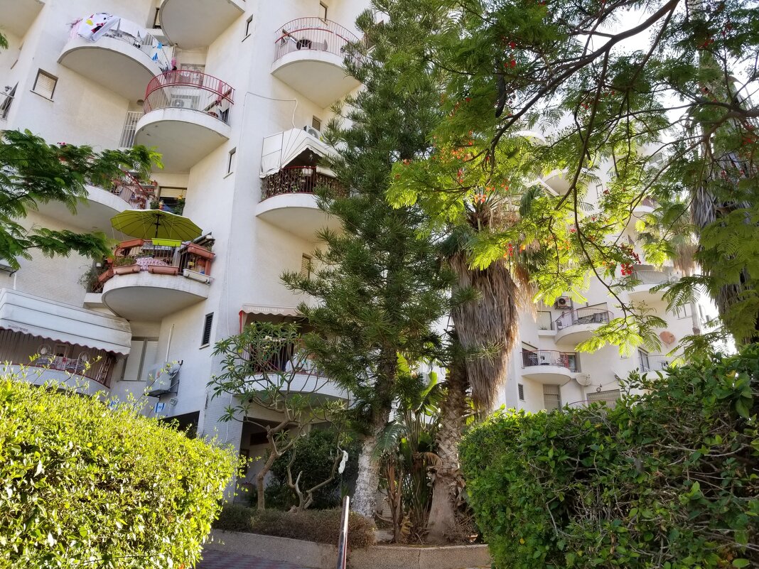 " - Светлана Хращевская