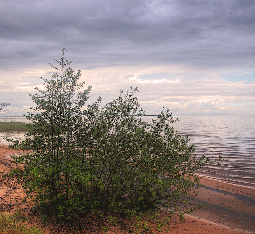 *** - Сергей Григорьев