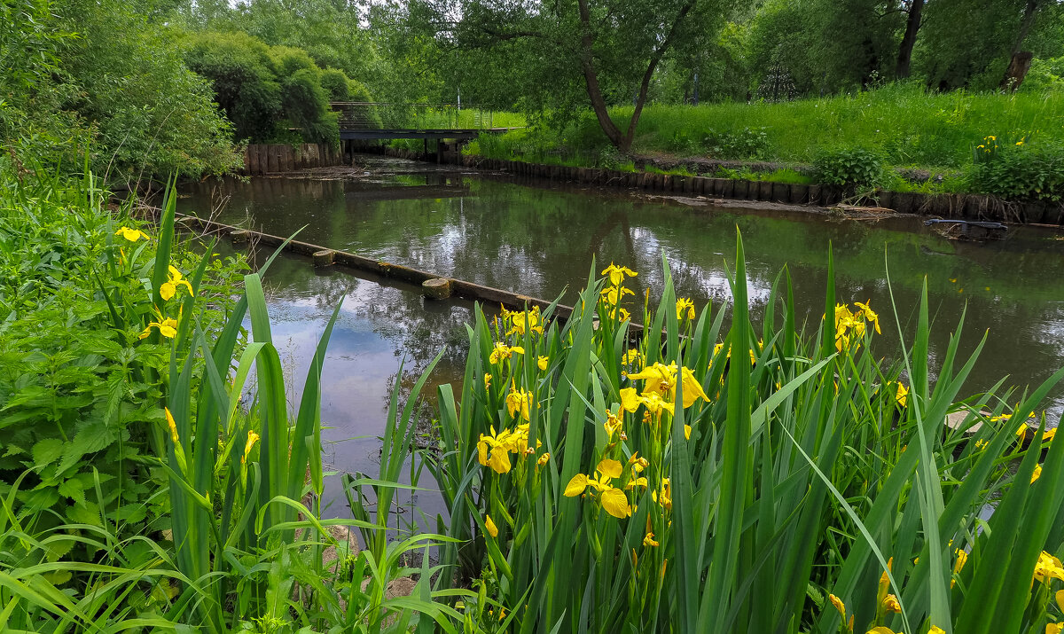У Тихой Воды - юрий поляков