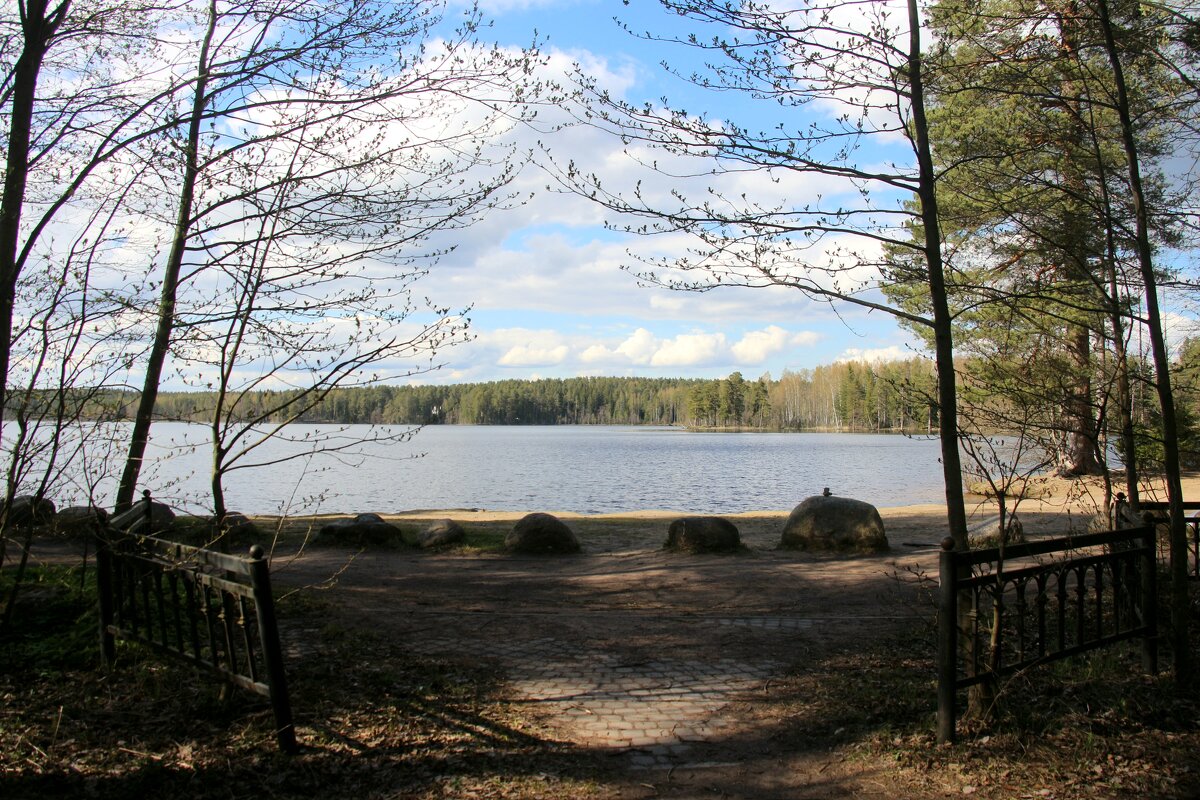 Комарово. Озеро Щучье - Наталья Герасимова Комарово. Озеро Щучье - Наталья Герасимова