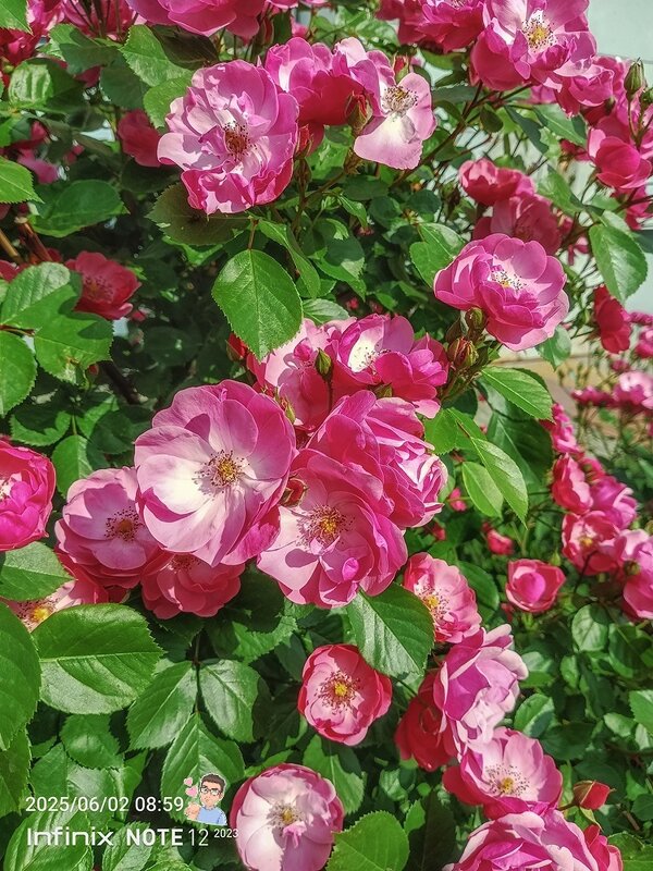 Открывая летний сезон - Игорь Сарапулов