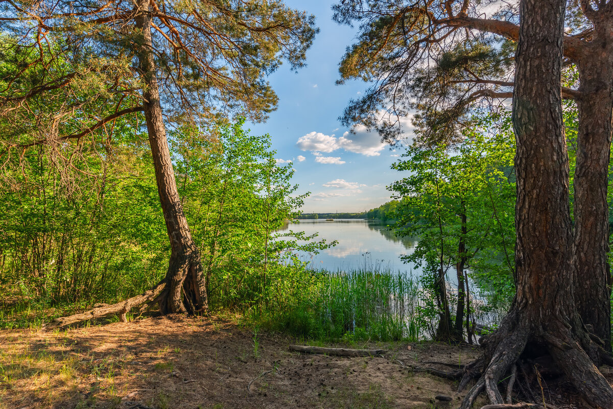 на озере - Виталий Емельянов