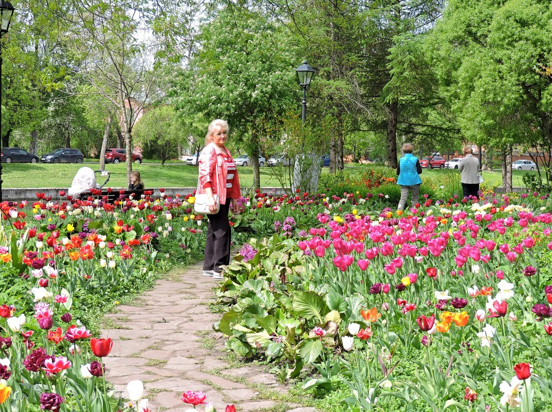 Май в городском саду - Мария Васильева Май в городском саду - Мария Васильева