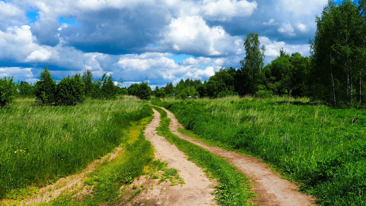Смоленское лето - Милешкин Владимир Алексеевич Смоленское лето - Милешкин Владимир Алексеевич