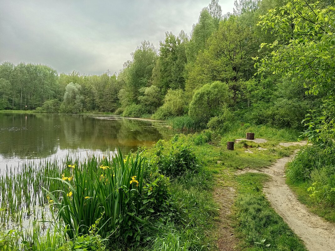 Сегодня облачно - Андрей Лукьянов