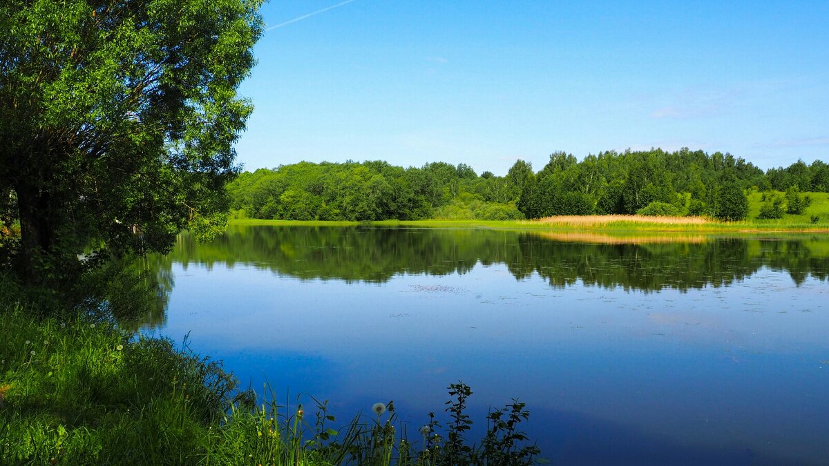 Про озёра Смоленщины (репортаж из поездок по области) - Милешкин Владимир Алексеевич 
