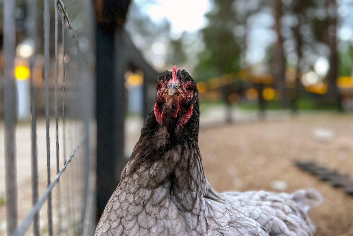 Привет Вам из 2025 года. - Дмитрий Иванов Привет Вам из 2025 года. - Дмитрий Иванов