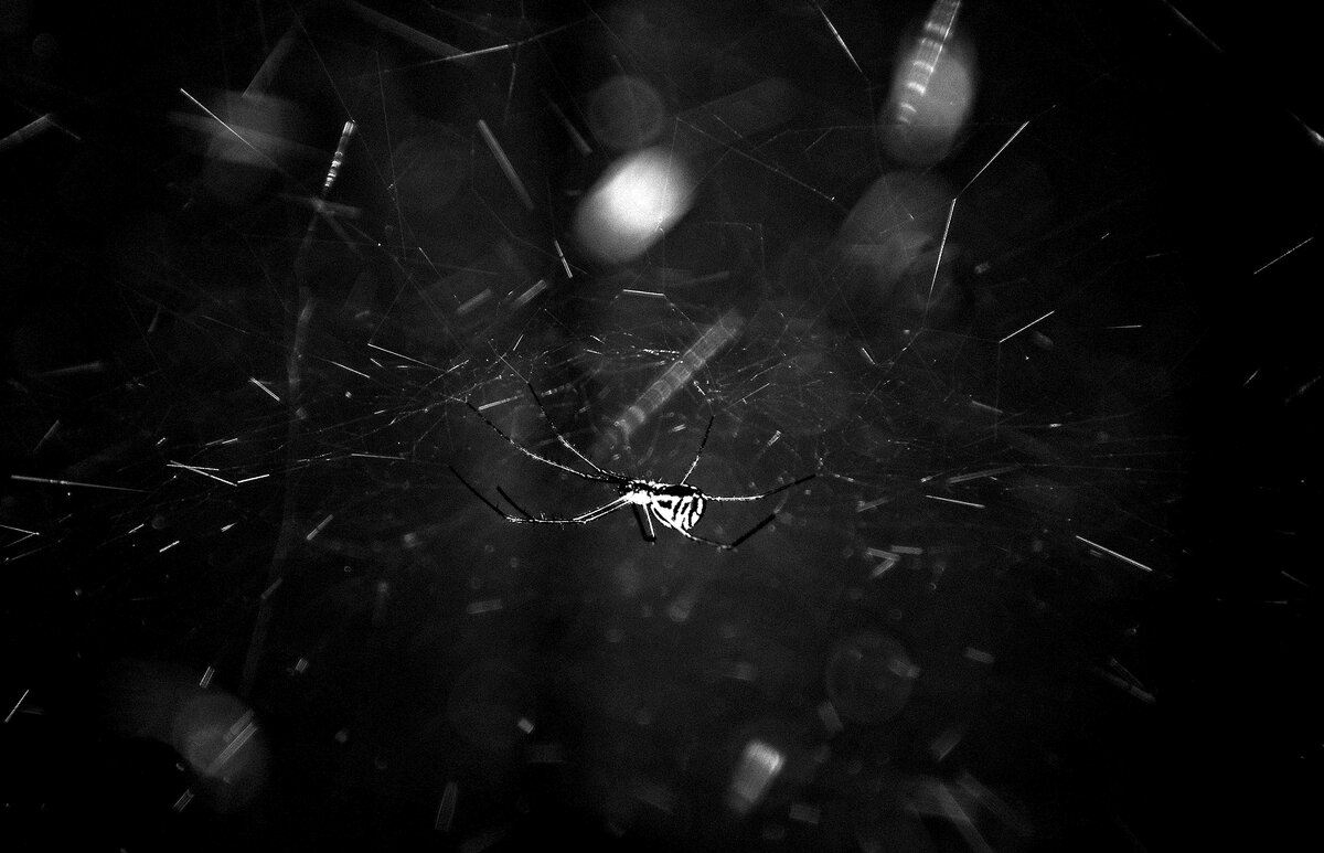 В засаде - Валерий Иванович