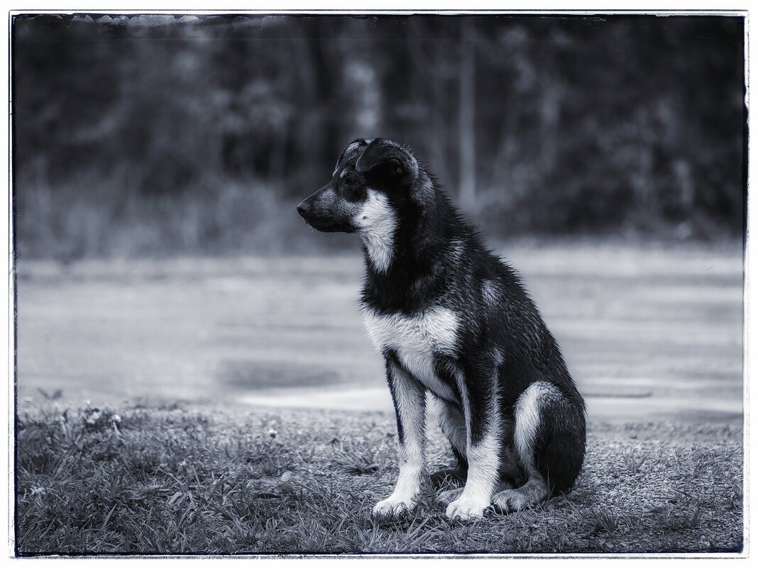 Малыш. - Вадим Басов