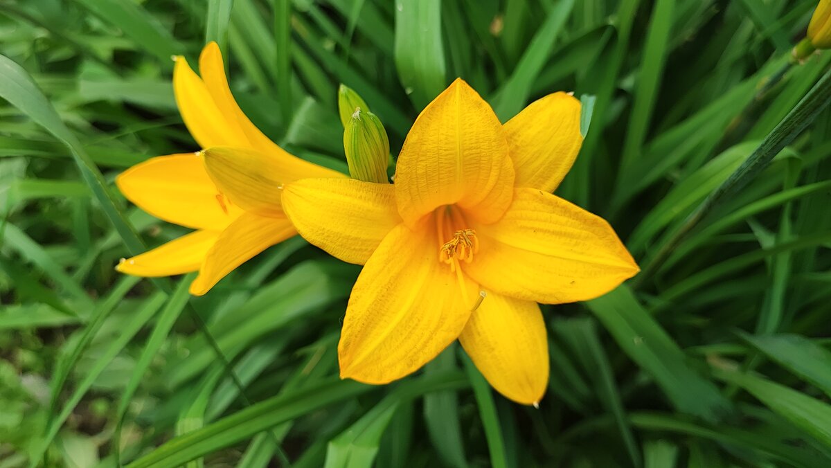 ,,, - Сергей Тимоновский