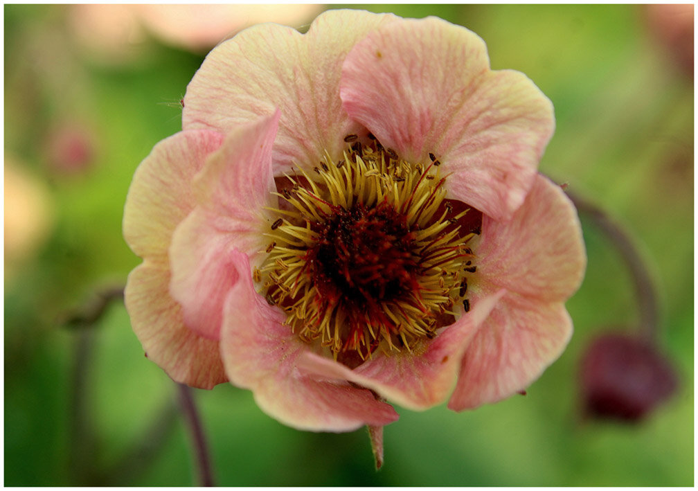 Как прекрасен этот мир... - Aleksandr Gal Как прекрасен этот мир... - Aleksandr Gal