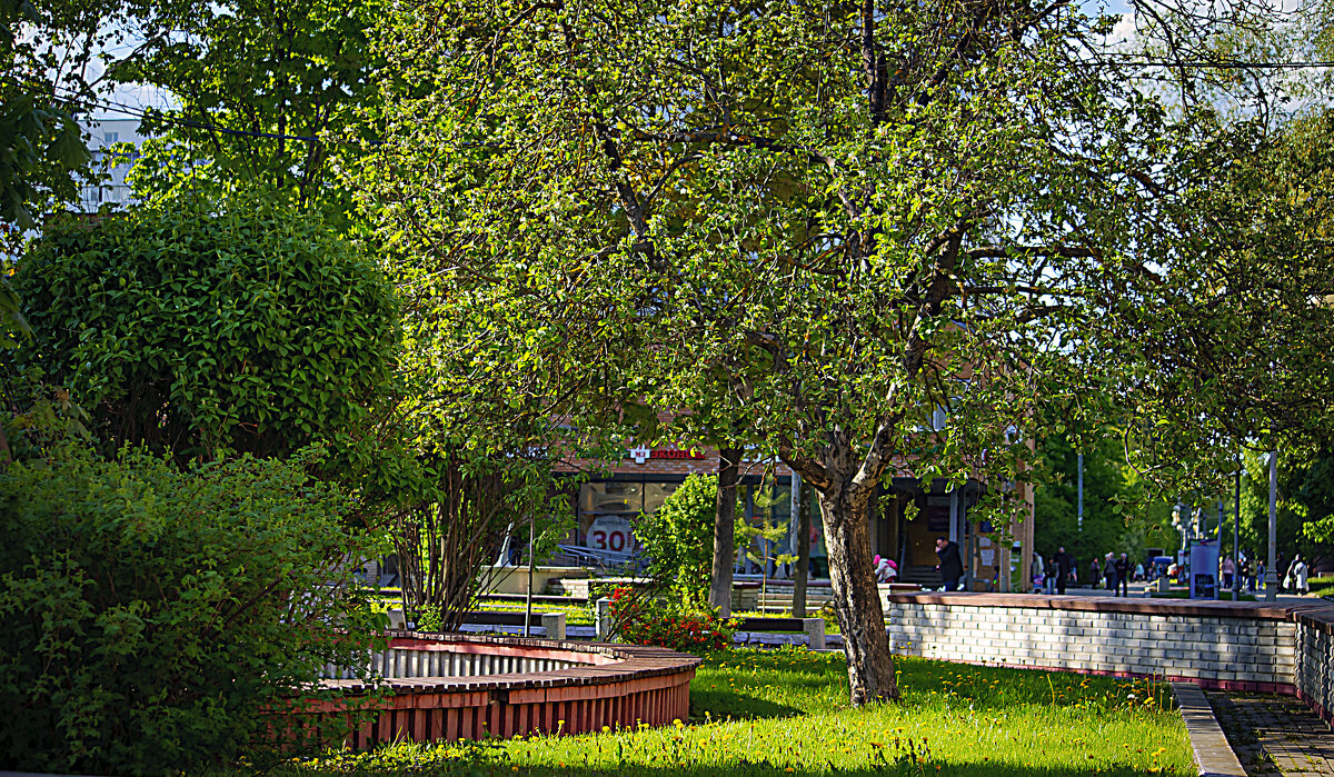 Тихий уголок - Владимир Кроливец Тихий уголок - Владимир Кроливец
