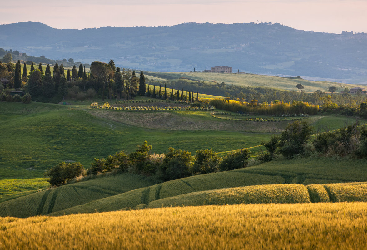 Среди холмов... - Алекс Римский Среди холмов... - Алекс Римский