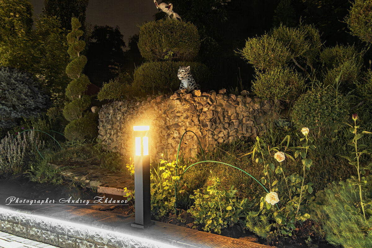 Призрак гор. - Андрей Жданов