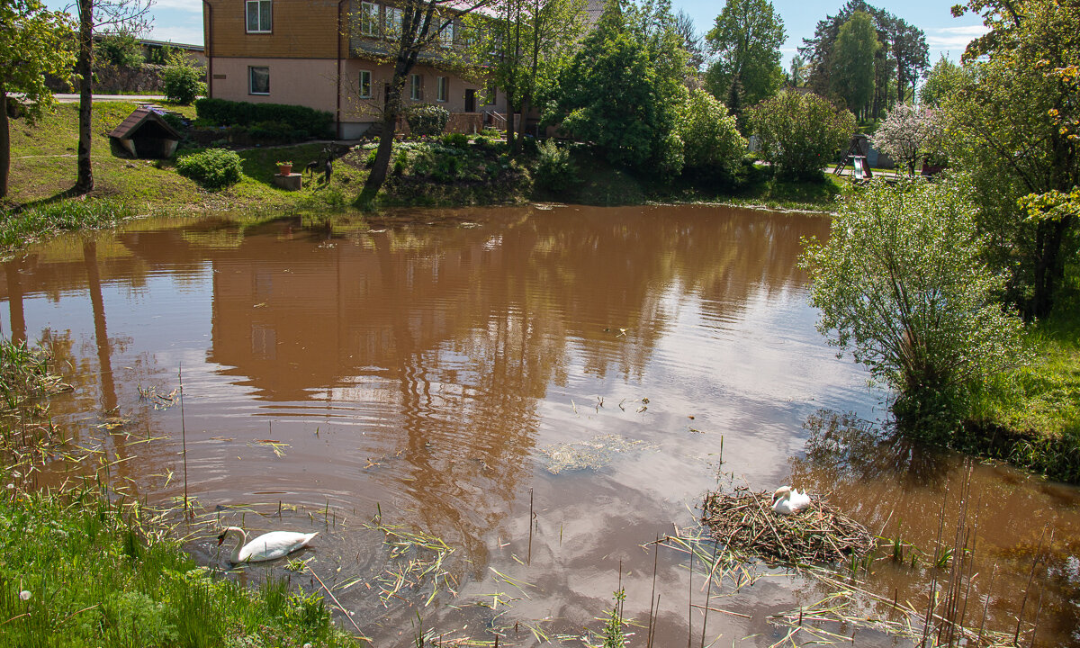 *** - Геннадий Порохов