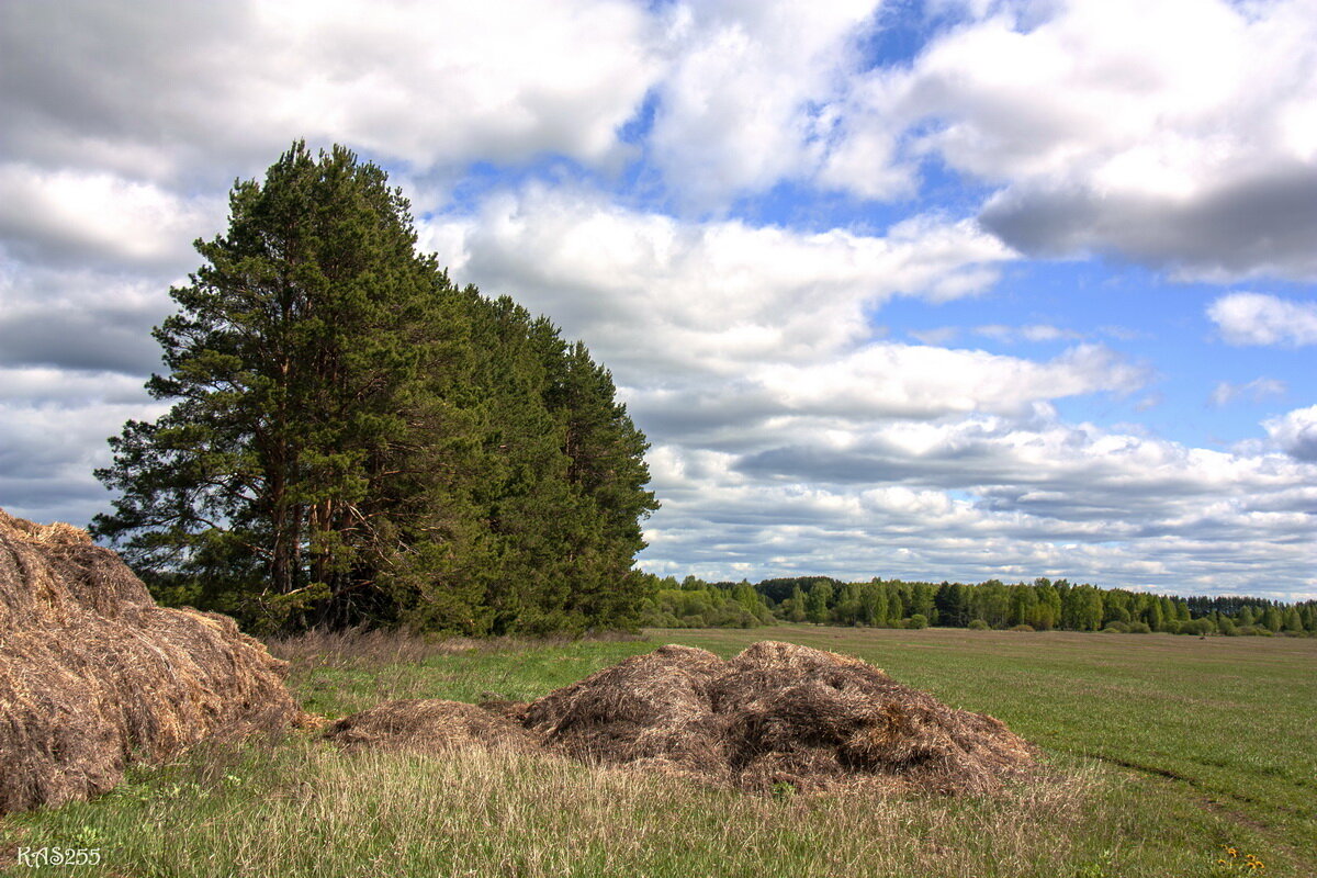 Просторы - Александр 