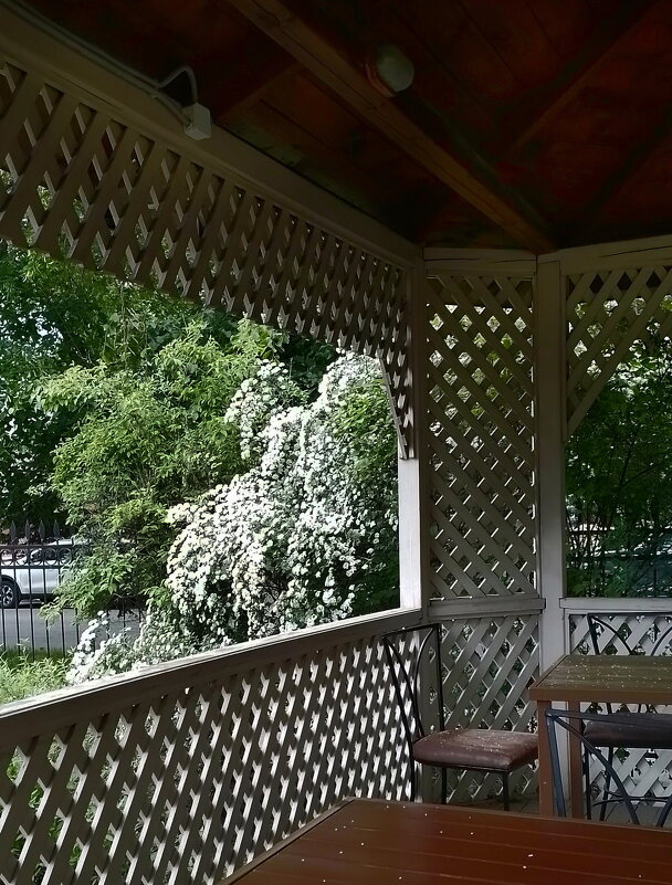 *** - Валентина Береснева