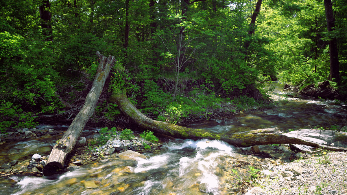 Пейзаж - Эдуард Куклин