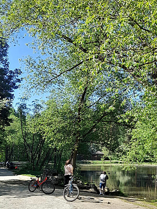 Велосипедисты в парке - Алевтина 