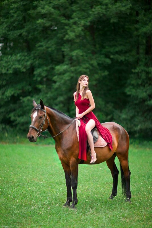 Красивая девушка, красивый конь, что может быть лучше - Mitya Galiano